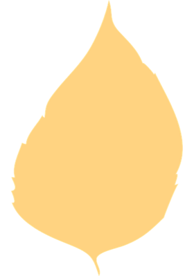 ମୋ ସରକାର