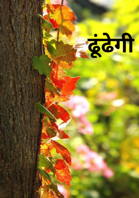 ढूंढेगी