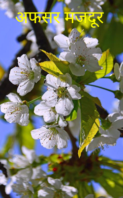 अफ़सर मजदूर