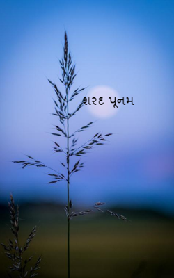 શરદ પૂનમ