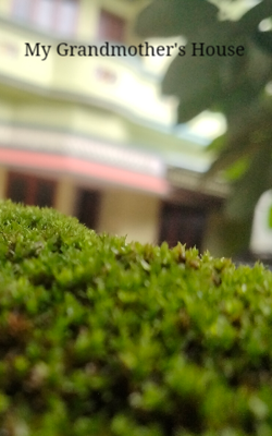 My Grandmother's House