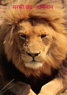 सरसी छंद -अभिमान 