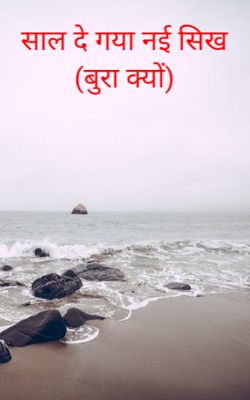 साल दे गया नई सीख (बुरा क्यों)