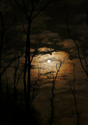 मला तेव्हा जाग आली...