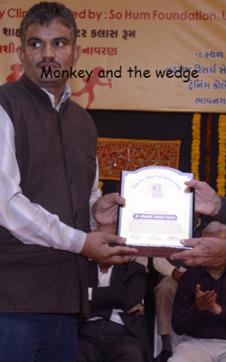 Monkey and the wedge