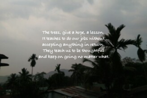 The trees, give a hope, a lesson. 
It teaches to do our jobs without 
accepting anything in return. 
They teach us to be thoughtful 
and keep on going no matter what.