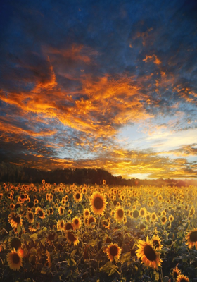 The Silent Power Behind All Creation