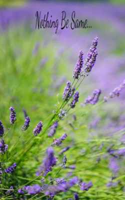 Nothing Be Same...