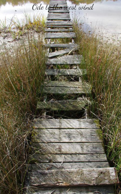 Ode To The West Wind