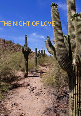 THE NIGHT OF LOVE