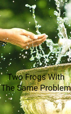 Two Frogs With The Same Problem