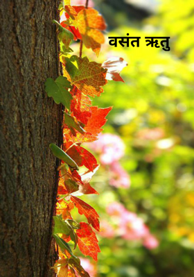 वसंत ऋतु