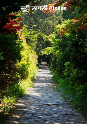 सुट्टी लागली होssss