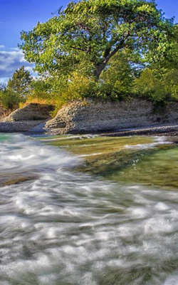 A Little Lonely Soul