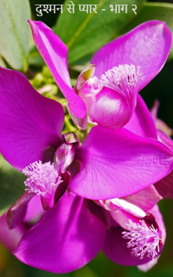 दुश्मन से प्यार - भाग २