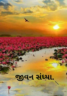 જીવન સંધ્યા.