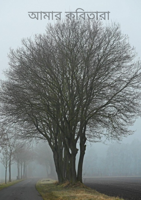 আমার কবিতারা