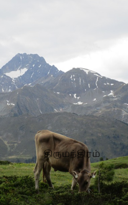 திருமந்திரம்