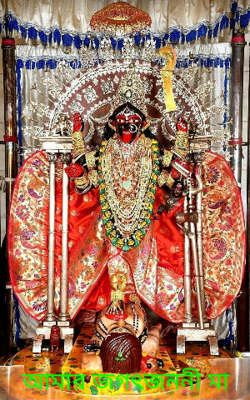 আমার জগৎজননী মা