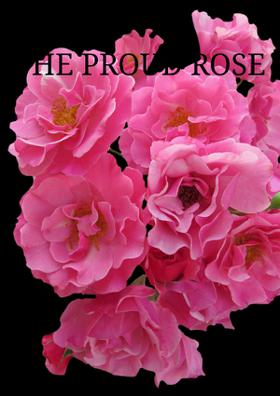 THE PROUD ROSE