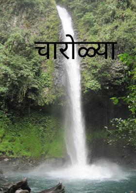 प्रेमाचा भाव फुलला