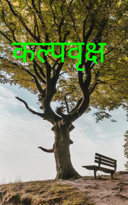 कल्पवृक्ष