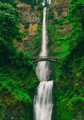 सखी री सावन आया