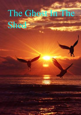 The Ghost In The Shed