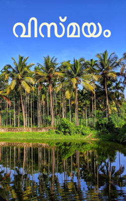 വിസ്മയം