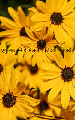 एक बार हमें है मिलती ये जिंदगी भी यारों