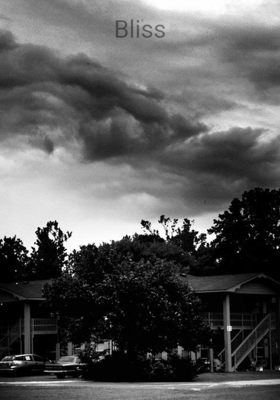 Bliss