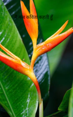 मैं कब कविता कहती हूँ