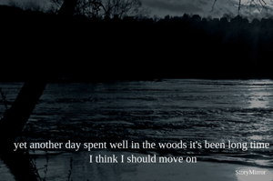 yet another day spent well in the woods it's been long time 
I think I should move on
