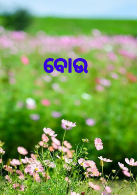 ବୋଉ