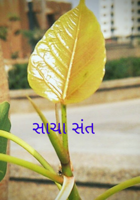 સાચા સંત
