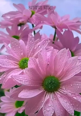 श्रावण धारा