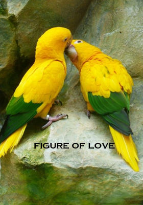 Figure of Love