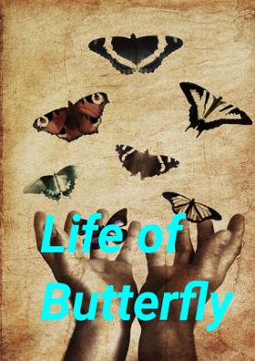 Life of a Butterfly