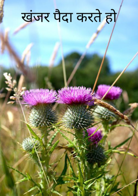 खंजर पैदा करते हो