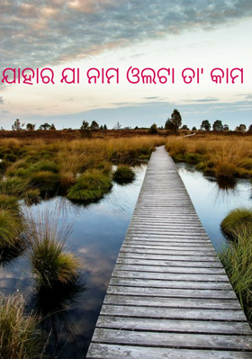 ଯାହାର ଯା ନାମ ଓଲଟା ତା' କାମ