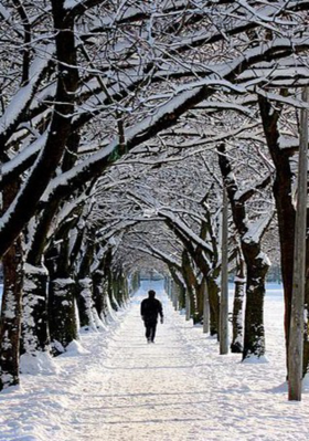 He Who Is Not So Cool