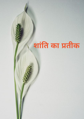 शांति का प्रतीक