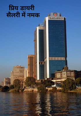 प्रिय डायरी  सैलरी में नमक