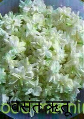 वसंत ऋतू