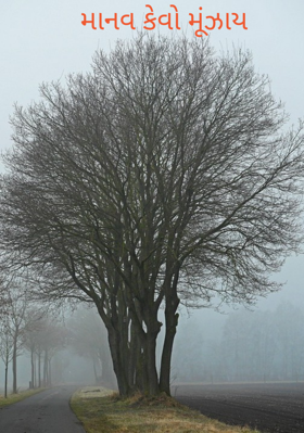 માનવ કેવો મૂંઝાય