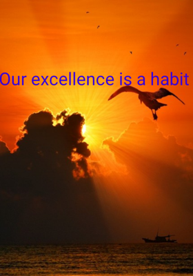Our Excellence Is A Habit
