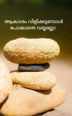 ആകാശം വിളിക്കുമ്പോൾ പോകാതെ വയ്യല്ലോ