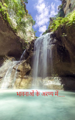                                                      भावनाओं के अरण्य में……