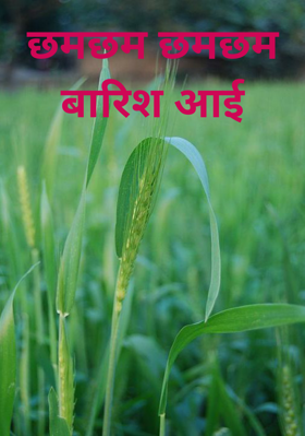 छमछम छमछम बारिश आई