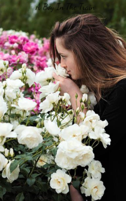 A Boy In The Train